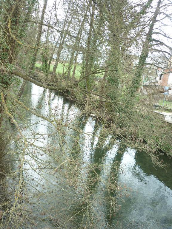 Pension-Albergue Puente Ribeira ساريا المظهر الخارجي الصورة